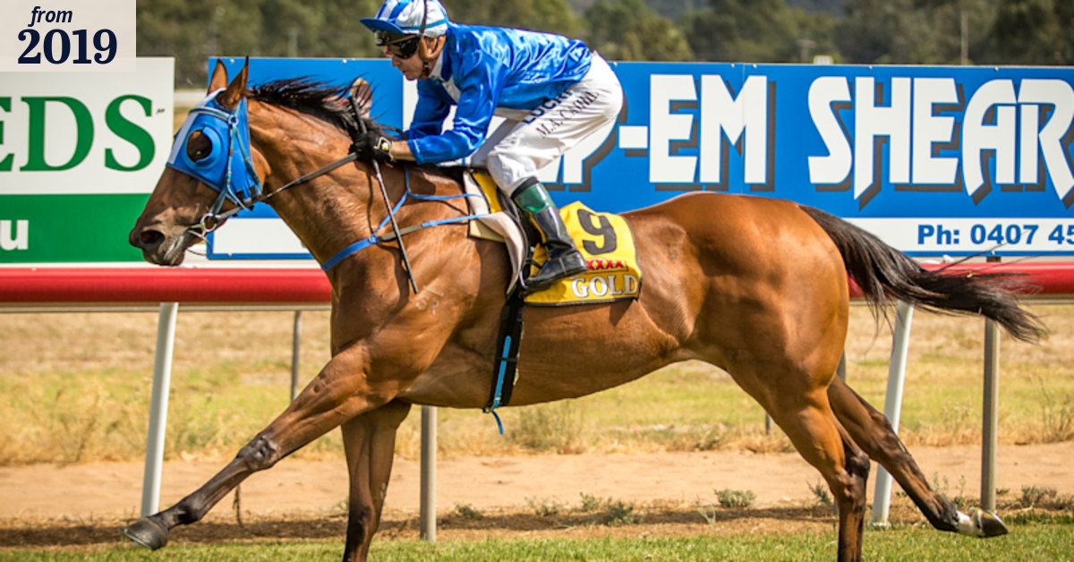 Tips and race-by-race preview for Dubbo on Sunday