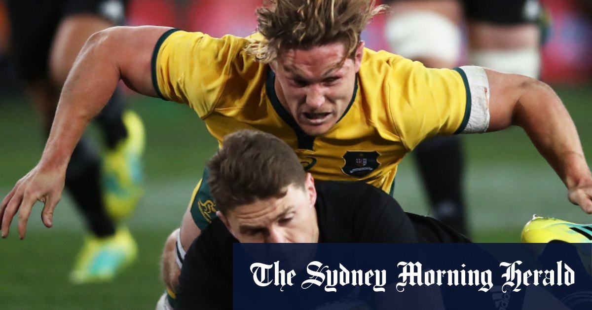 Rugby Championship 2020 Schedule Solution Could See All Blacks Home For Christmas But At A Cost