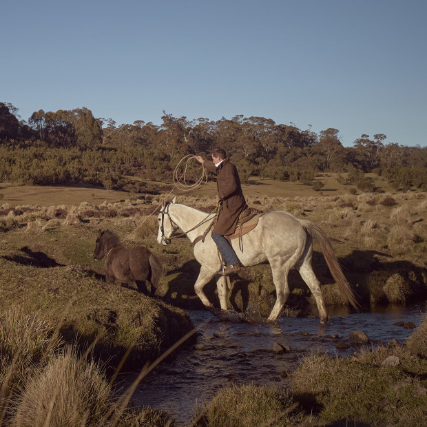 Professional horse-breaker Lewis Benedetti emerges from the Nunniong Plains bush with a wild colt. 
