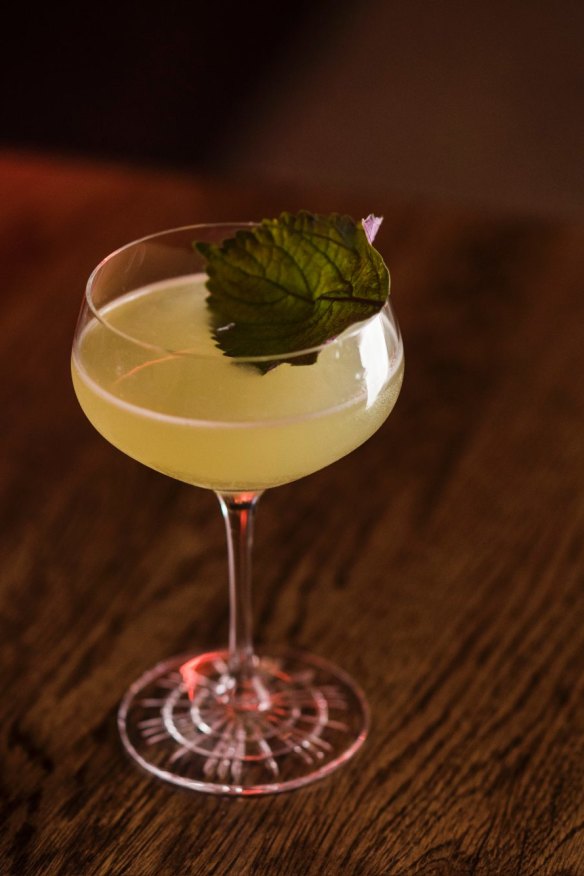 My Fair Daisy cocktail.