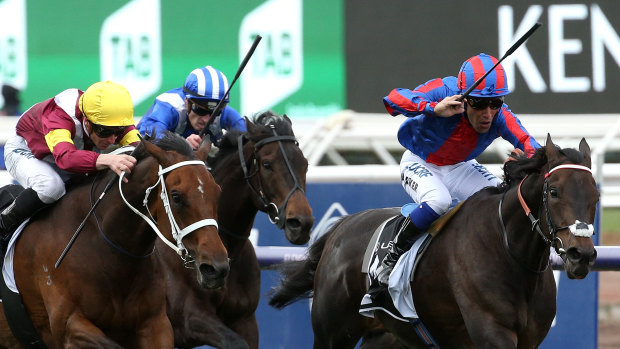 Into the big one: A Prince Of Arran holds off Brimham Rocks to win the Lexus Handicap and a spot in the Melbourne Cup. 