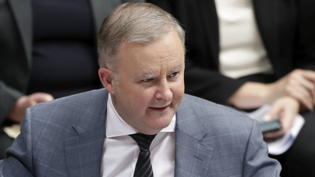 Opposition Leader Anthony Albanese has called for a wage assistance  program for employers struggling after the bushfires.
