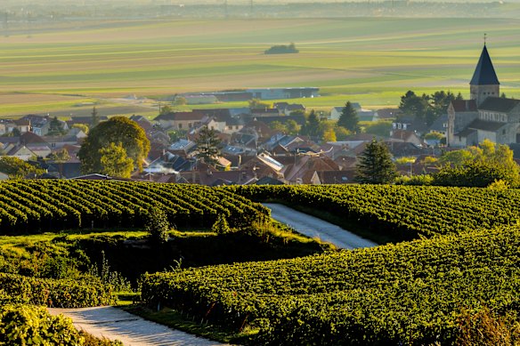 Champagne vineyards of Champagne-Ardenne, now part of Grand Est.