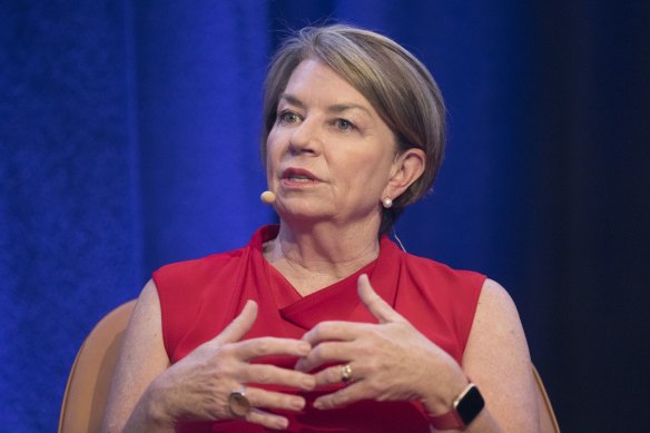 Australian banking Association boss Anna Bligh says the payment system is like 5G or water pipes – unseen but not costless.