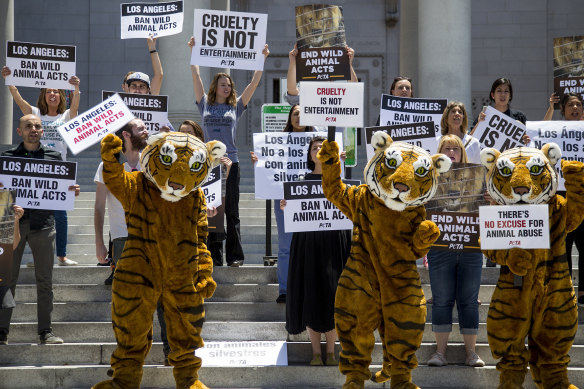 PETA supporters gather on the steps of Los Angeles City Hall to call on the city to ban using tigers, lions and other wild animals in circuses in a file photo. 