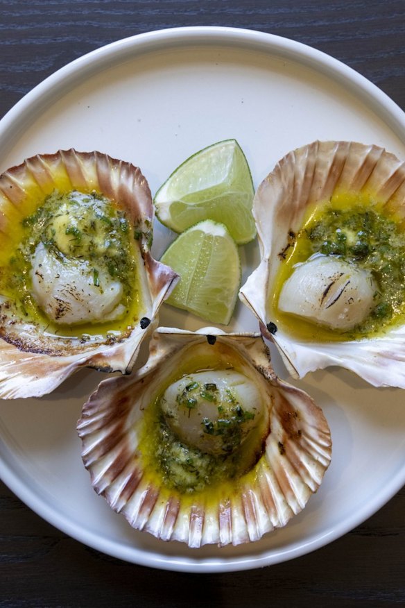 Scallops.