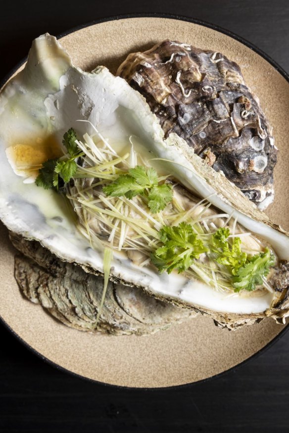 Tasmanian wild oysters.
