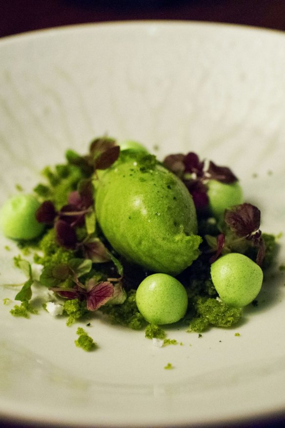 Evergreen with sorrel, lemon basil, mint, shiso and parsley.