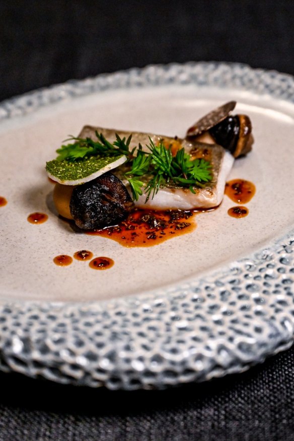 John Dory.