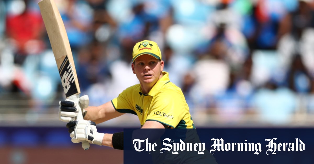 ‘It has been a great ride’: Steve Smith retires from ODI cricket but commits to Ashes summer