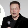 Forget Twitter, brain surgery is Elon Musk’s biggest challenge