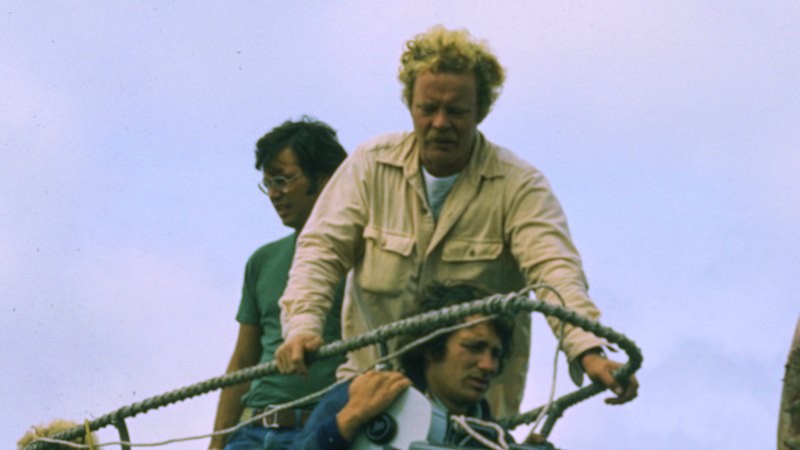 Jaws made us scared to enter the water. This play reveals the real ...