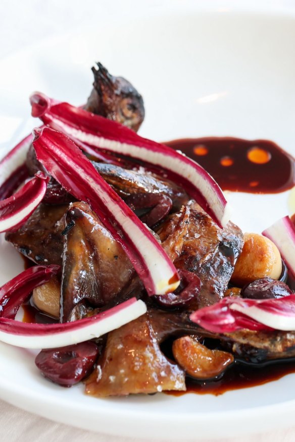 Aged whole squab, smoked honey, soft garlic, red chicory. 