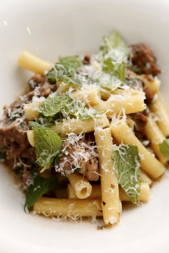Rigatini, saltgrass lamb shoulder.