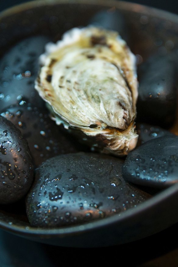 Sydney rock oyster.