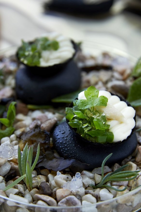 Jellied eel tarts.