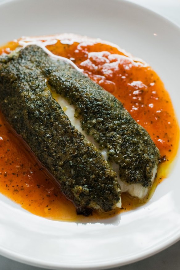 Herb crusted coral trout with roast tomato sauce.