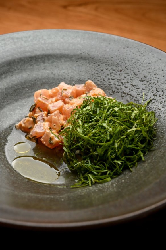 Albacore.