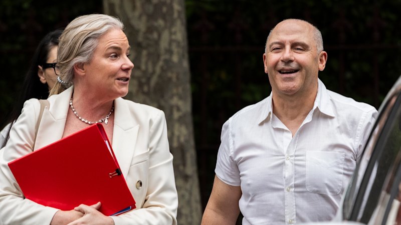 Tony Mokbel bound for Queensland holiday as prosecutors delay retrial decision