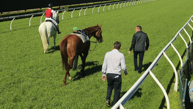 Chris Waller and Charlie Duckworth check on Nature Strip.