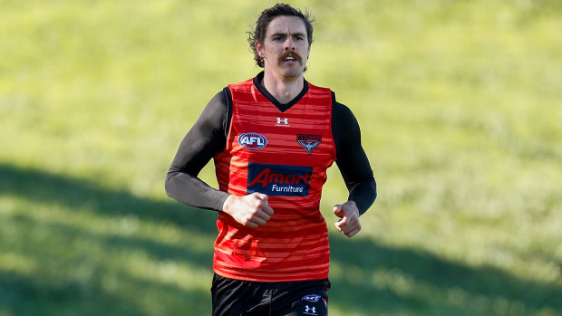 Back on track: the AFL hiatus has given Essendon forward Joe Daniher time to recovery from injury.