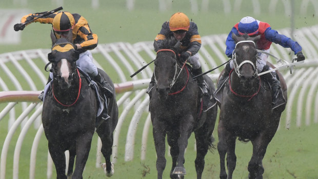 Running on heart: Jockey Blake Shinn rides Trapeze Artist (far left) to victory in the Canterbury Stakes. 