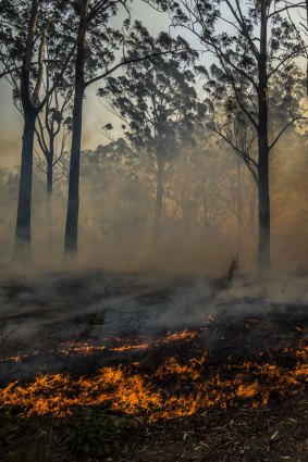 Australia needs to step up its efforts to reduce emissions.