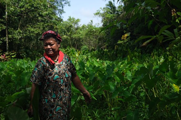 Dirradai Uai Skebong in her taro patch.