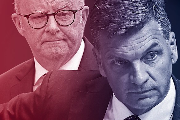 Prime Minister Anthony Albanese and Angus Taylor.