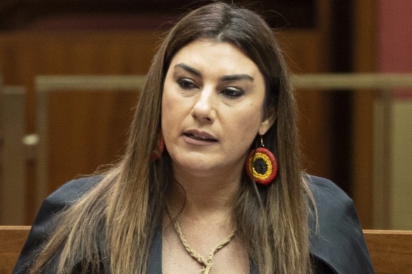 Green senator Lidia Thorpe, the party’s spokeswoman on First Nations issues, says the proposed Voice referendum is a “waste of money” and the funds could be better spent in Indigenous communities.