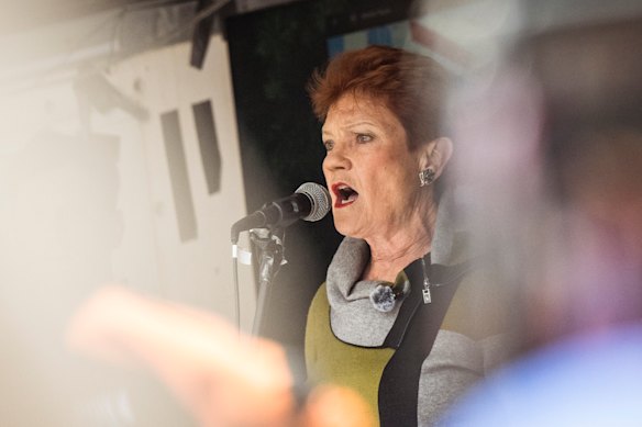 Pauline Hanson addresses a crowd at an anti-immigration rally in Melbourne in November.