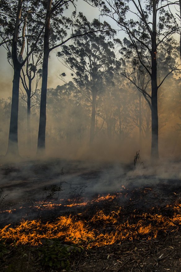 Australia needs to step up its efforts to reduce emissions.