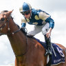 Zennzella, ridden by James McDonald, was triumphant last Saturday.