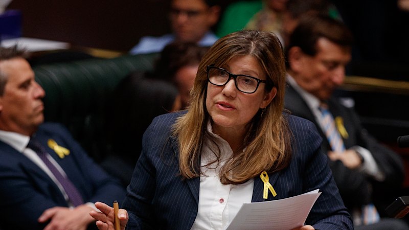 These community soccer clubs received funding after donating to Labor MPs’ campaigns