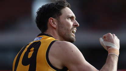 Team | Hawthorn Hawks News, Players & Match reports | The Age