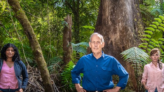 Speaking for the trees: Samantha Ratnam (left), Bob Brown and Sonya Semmens.