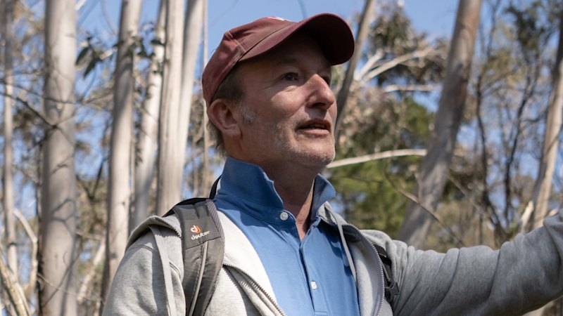 Blue Mountains residents in PFAS zone face quiz on backyard vegies and chooks