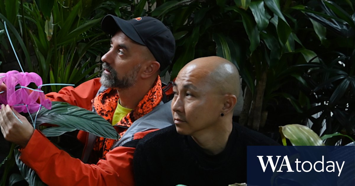 Liveworks Festival at Carriageworks program - Vimarsana News