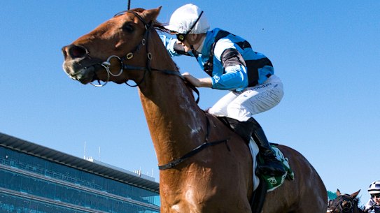 Ethan Brown aboard Smokin’ Romans in the Turnbull Stakes at Flemington.