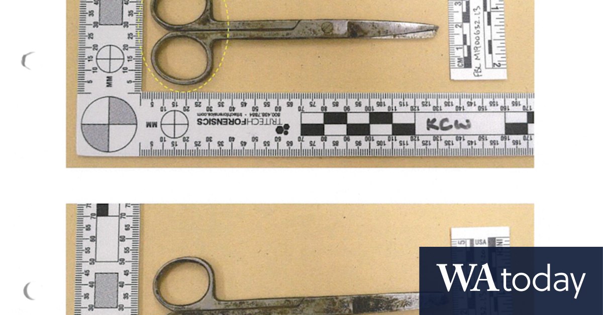 'Thick, blunt stick': Teen's weapon unlikely to seriously harm officer, court told - Vimarsana News