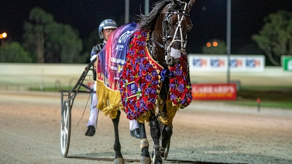 Tiger Tara breaks track record in Inter Dominion Grand Final