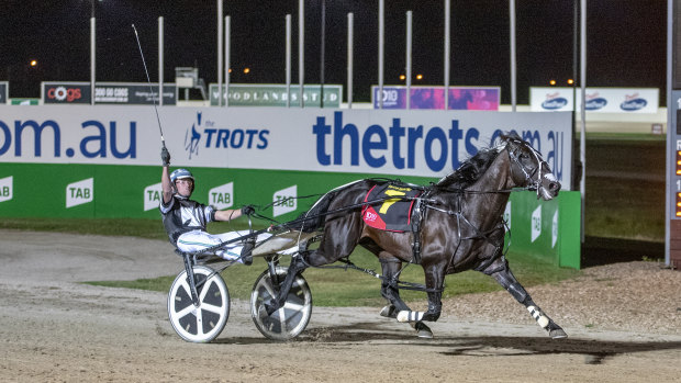 Dominant: Tiger Tara scored an easy win in the Inter Dominion Grand Final in Melton.