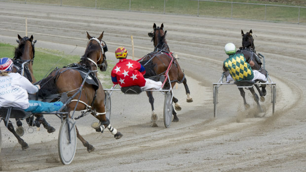 Teenager driver Will Rixon won the Canberra Cup last week. 