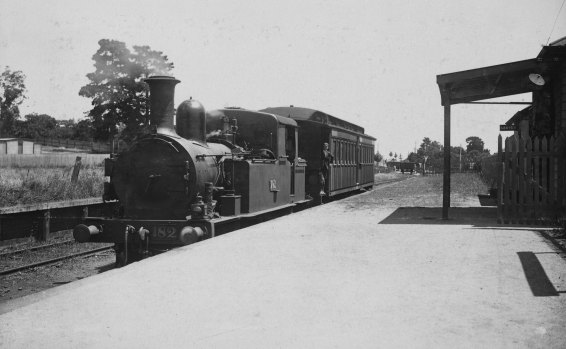 The Deepdene Dasher steam train at Deepdene station, 1926.