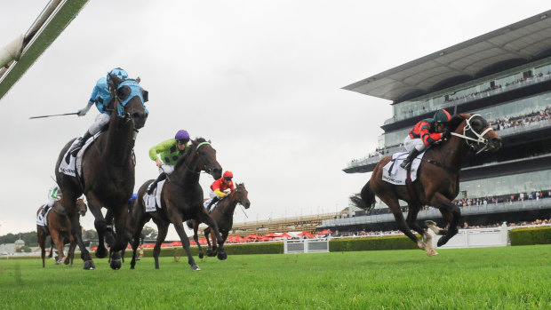 Storming home: The Autumn Sun, right, grabs Fundamentalist on the line to win the Randwick Guineas.