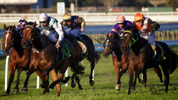 It’s a seven-race card at Muswellbrook on Tuesday.