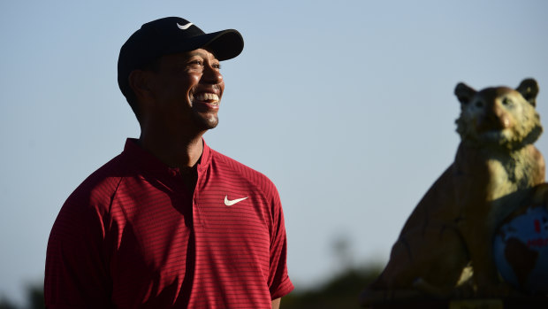 Eye of the tiger: Woods at the Hero World Challenge tournament, with its trophy in the distance.