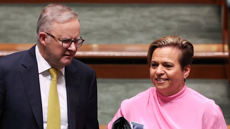 Tax on truth: Coalition, Greens team up to block Labor’s controversial laws