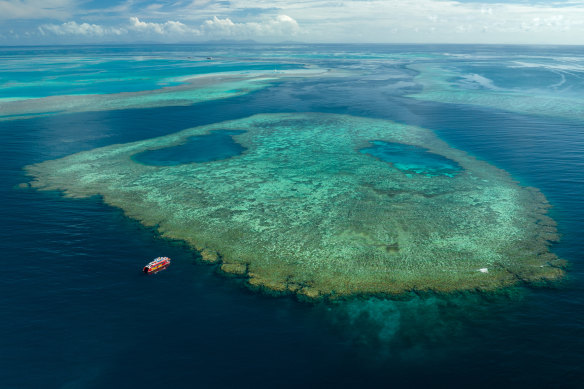 Explore the outer reef with Red Cat Adventures.