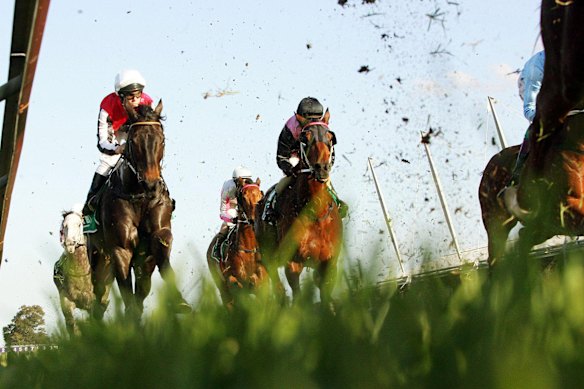 Racing returns to Gilgandra on Sunday.